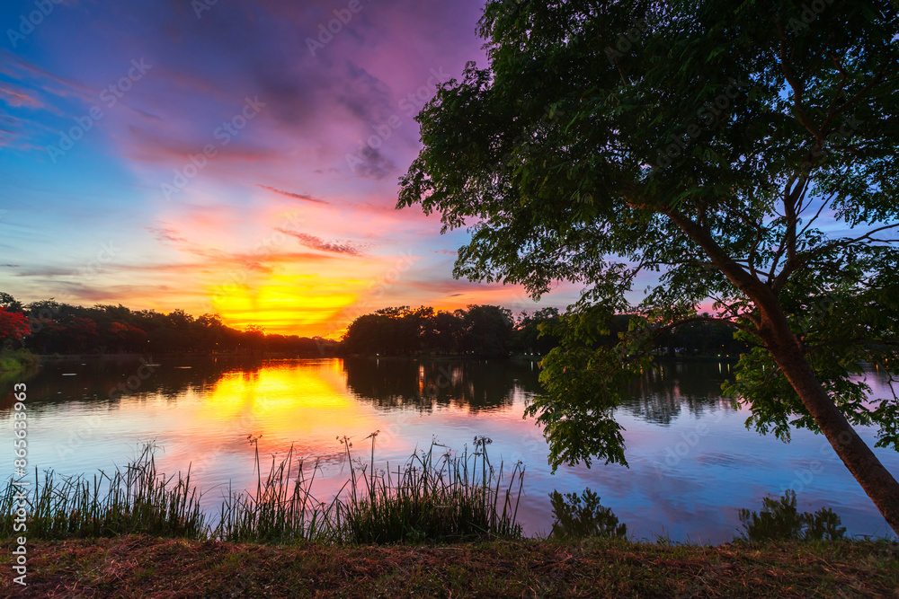 Obraz premium road landscape lake views and the reservoir the forest summer with evening blue dramatic sunset sky nature background.