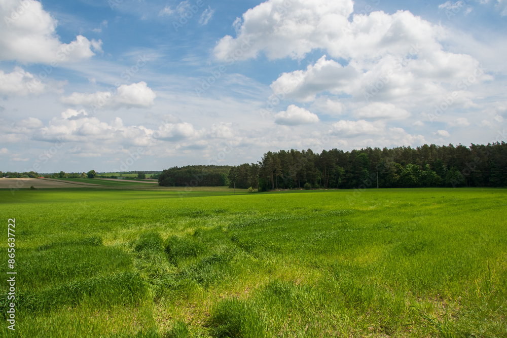 Roztocze, pola wokół Narola, Roztocze, fields around Narol Roztocze, pola wokół Narola, Roztocze, fields around Narol