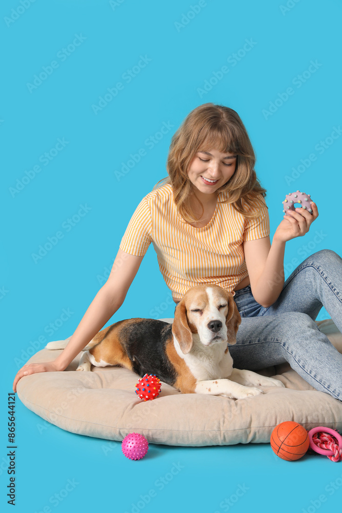 Young woman with cute beagle dog and toys on pet bed against blue background Young woman with cute beagle dog and toys on pet bed against blue background