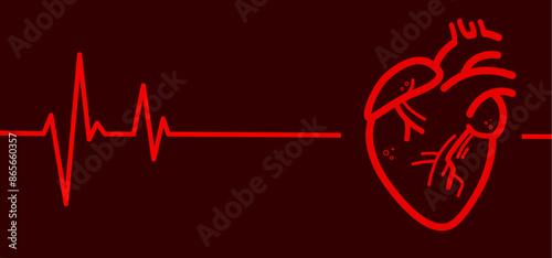 Heart, heart muscle with ekg line, cardiac health - red vector background, banner with free copy space