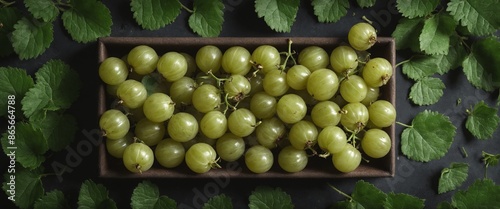 Fresh gooseberry fruits on dark background. Top view