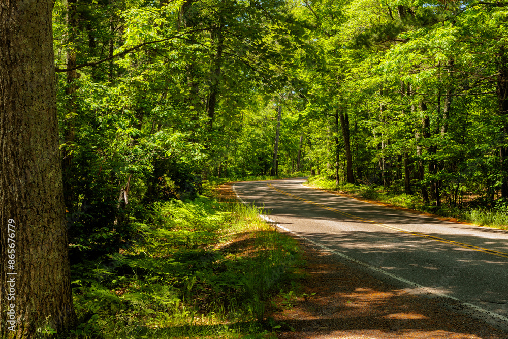 Hwy K in Vilas County, the rustic road through the northwoods of northern Wisconsin in late June Hwy K in Vilas County, the rustic road through the northwoods of northern Wisconsin in late June