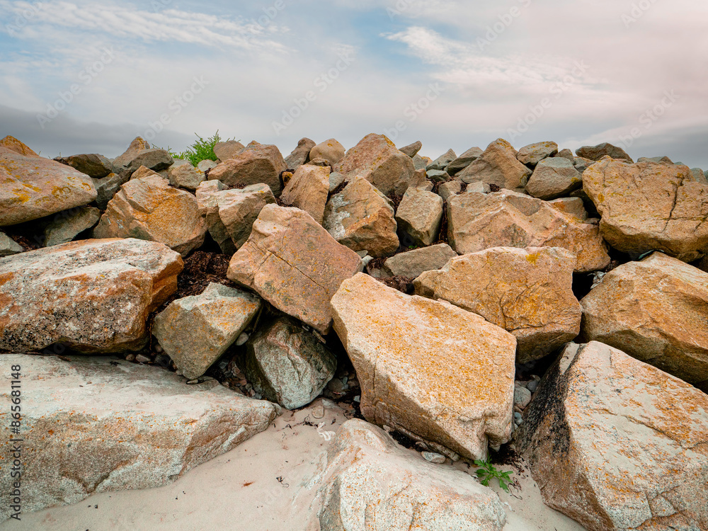 A rocky hillside with a few plants growing in between the rocks. The scene is peaceful and serene, with the plants adding a touch of life to the otherwise barren landscape A rocky hillside with a few plants growing in between the rocks. The scene is peaceful and serene, with the plants adding a touch of life to the otherwise barren landscape