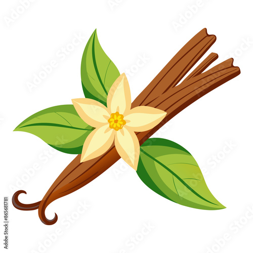 vanilla sticks vector design