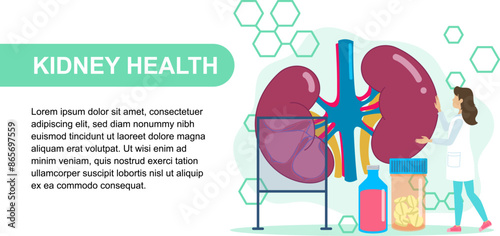 Nephrologist Examining Kidney Health with Medical Tools and Medications