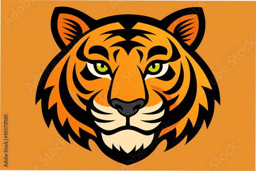 tiger head vector illustration