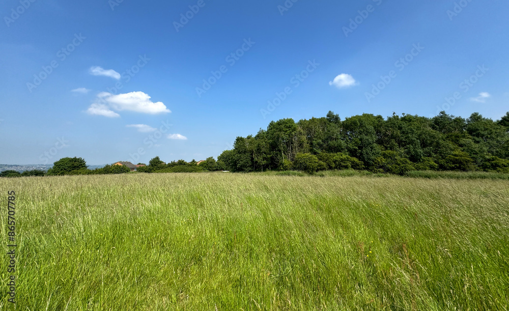 A vast field of lush, green grass stretches out under a clear blue sky with a few scattered clouds. In the distance, a line of dense trees marks the horizon in, Wrose, Bradford, UK A vast field of lush, green grass stretches out under a clear blue sky with a few scattered clouds. In the distance, a line of dense trees marks the horizon in, Wrose, Bradford, UK