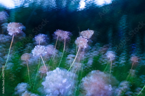 Ethereal butterfly on flowers in a blurred fine art style