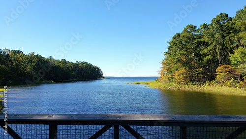 South Toledo Bend State Park photo