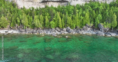 cliffside rocky beach with trees