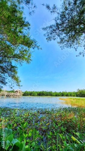 landscape with lake
