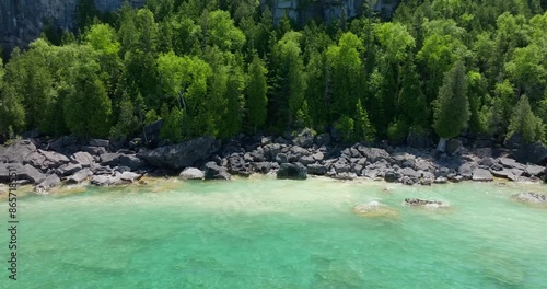 cliffside rocky beach with trees