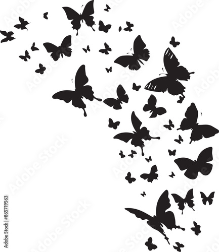 butterfly Set on white background