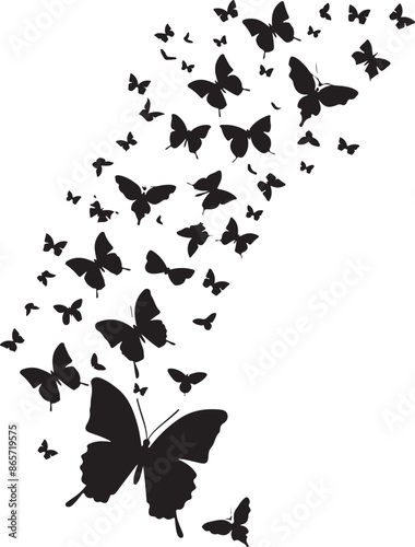 butterfly Set on white background