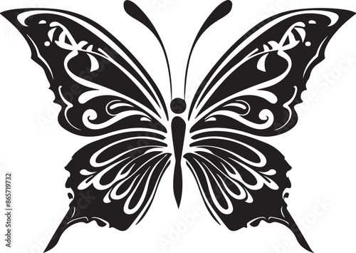 butterfly on a white background