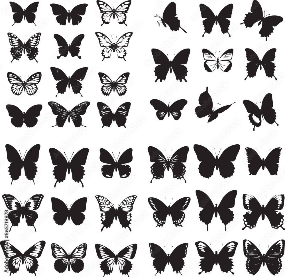 butterfly on a white background butterfly on a white background