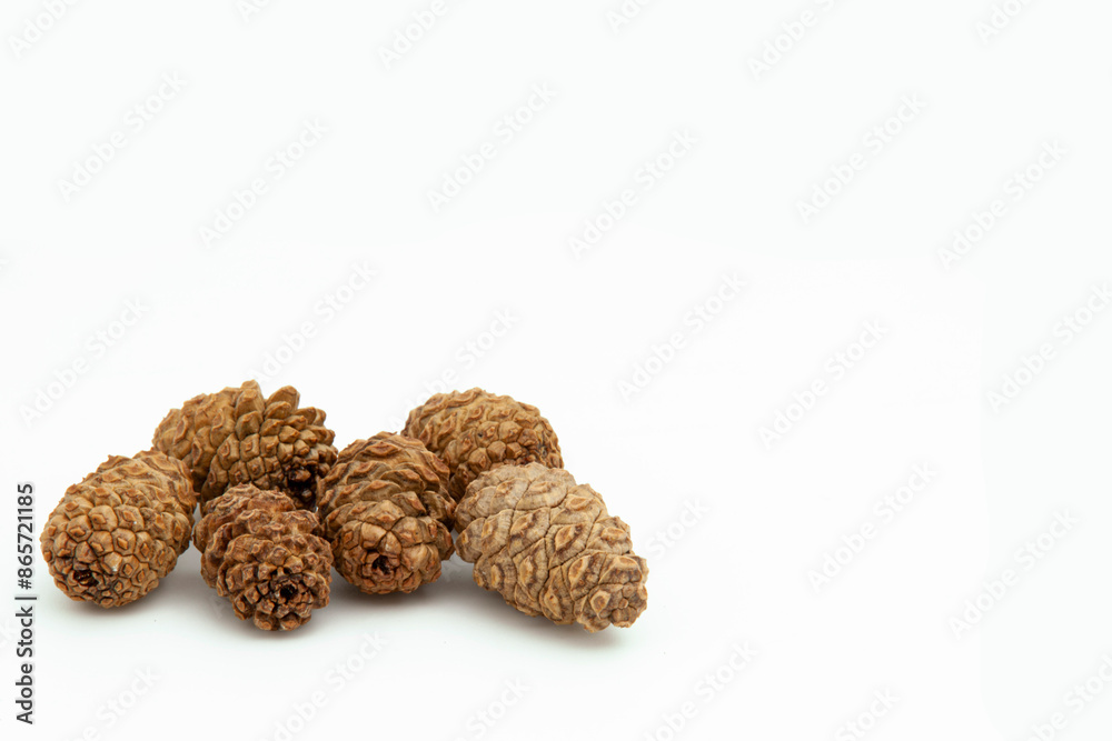 Collection of brown dry cedar cones of small size on white background, lying still in a pile. Textured cones. Horizontal. For banner. Collection of brown dry cedar cones of small size on white background, lying still in a pile. Textured cones. Horizontal. For banner.