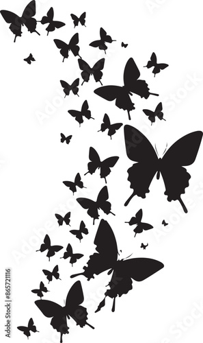 butterfly on a white background