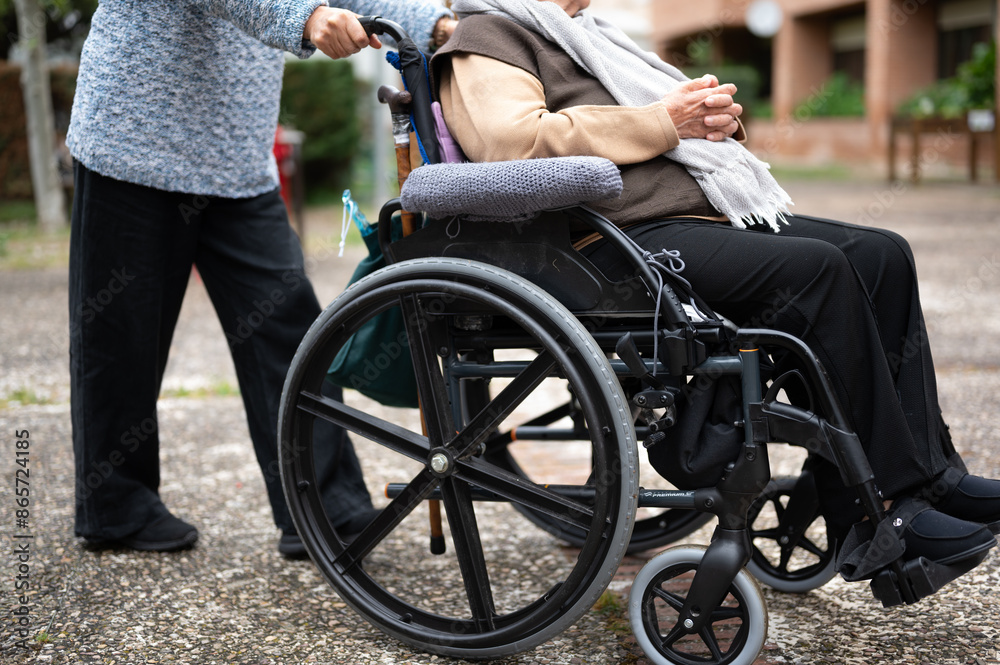 Obraz premium Elderly woman in wheel chair spending time with her daughter in the garden of nursing home. High quality photography