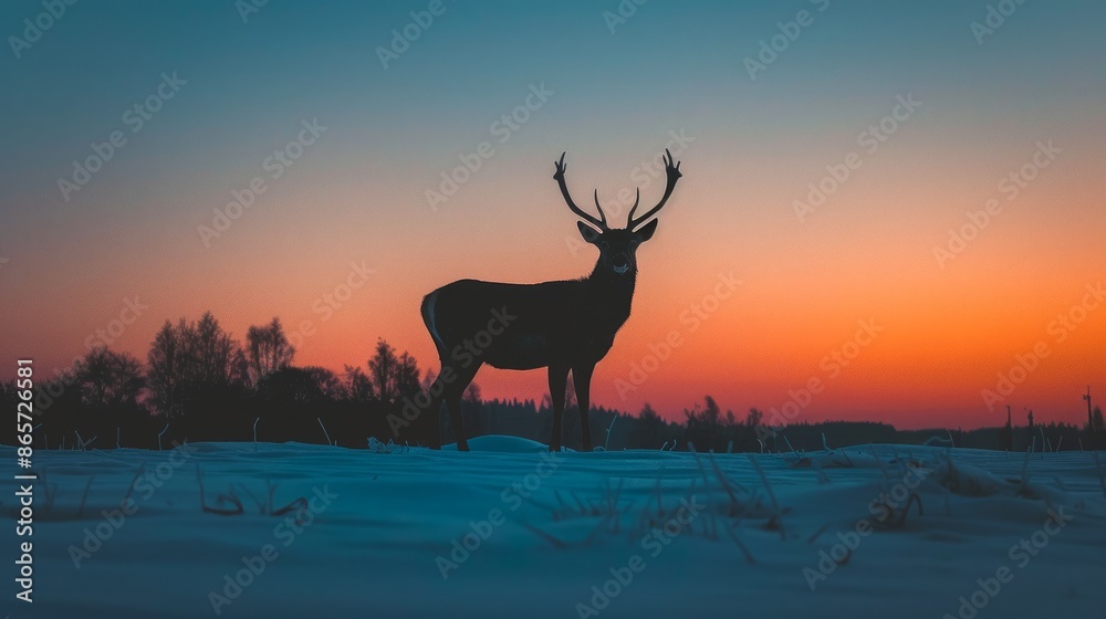 Silhouette of a Deer with Antlers at Sunset on a Snow-Covered Field. Concept of Wildlife, Nature, Spectacular Landscape, Winter Silhouette of a Deer with Antlers at Sunset on a Snow-Covered Field. Concept of Wildlife, Nature, Spectacular Landscape, Winter
