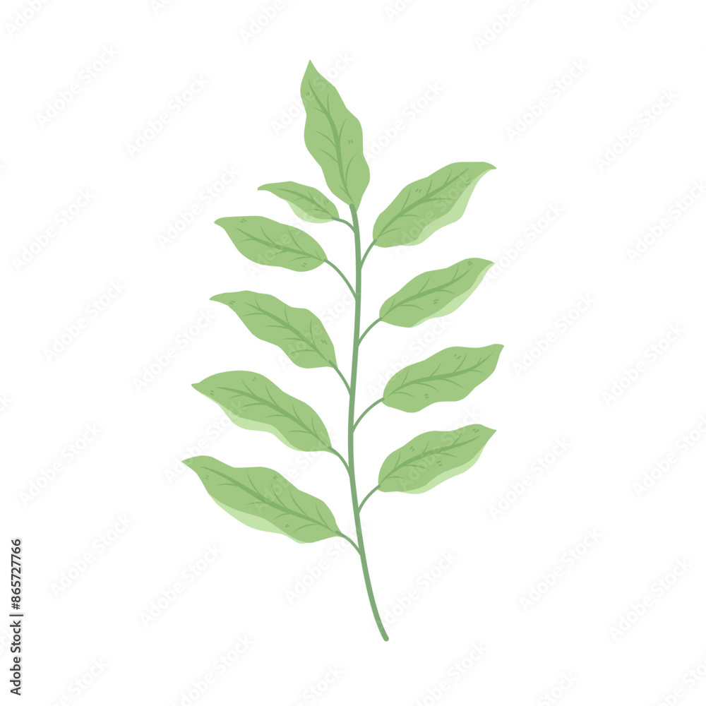 Illustration of Branching Leaves Branched Leaf Decoration Illustration of Branching Leaves Branched Leaf Decoration