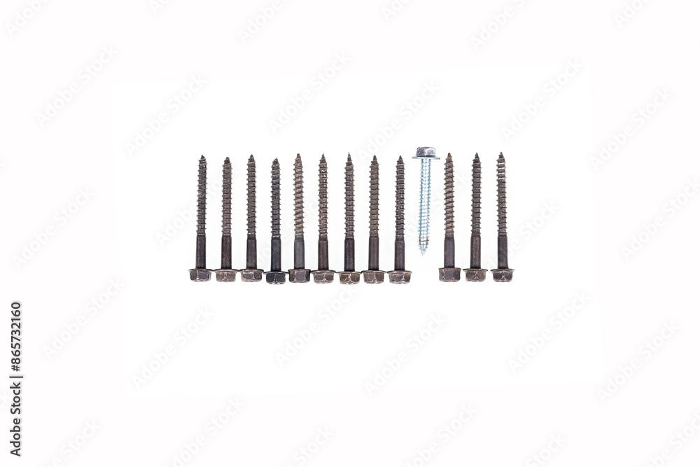 Line of Screws with One Different Screw on White Background Line of Screws with One Different Screw on White Background