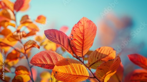 Colorful Autumn Leaves with Blue Sky - Generative AI © studio clever