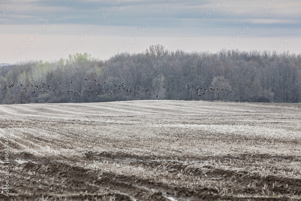A muddy field with a puddle in the center surrounded by grass A muddy field with a puddle in the center surrounded by grass