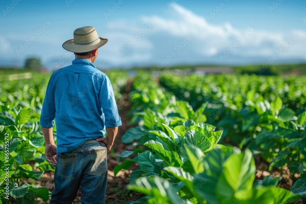 Farmers use the internet to test new crop methods Farmers use the internet to test new crop methods