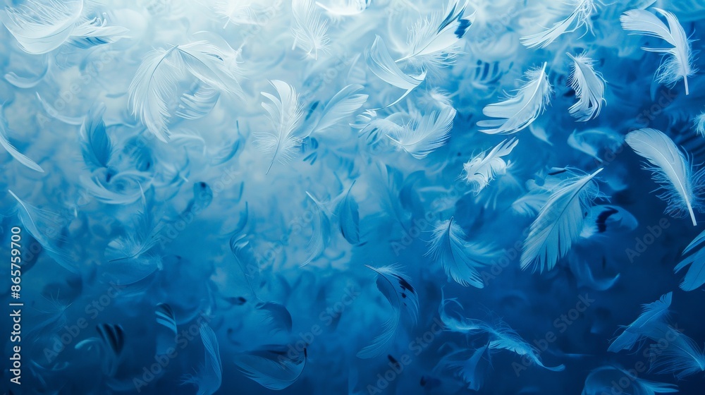 Feathers scattered over a gradient blue surface creating an artistic texture Feathers scattered over a gradient blue surface creating an artistic texture