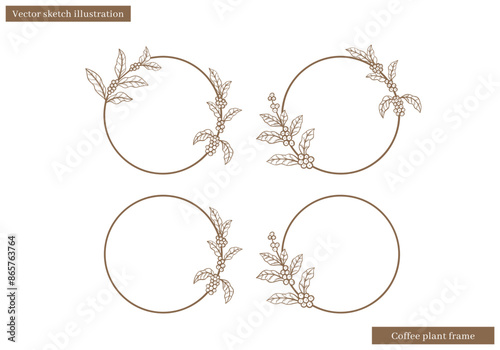circle frame with coffee plant leaves border vector sketch hand drawn illustration vector