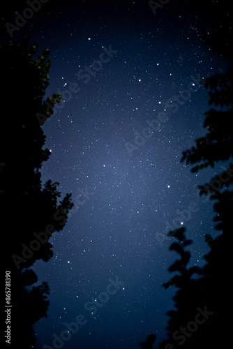 fotografía del cielo sombras de arboles 