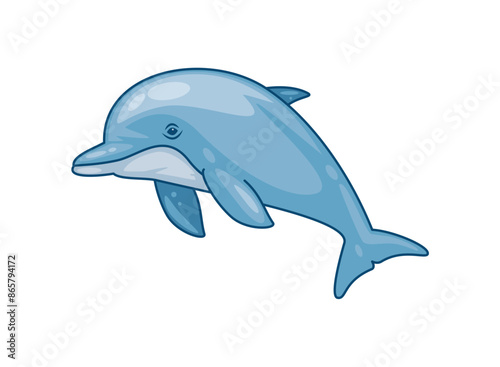 cute dolphin ocean animal