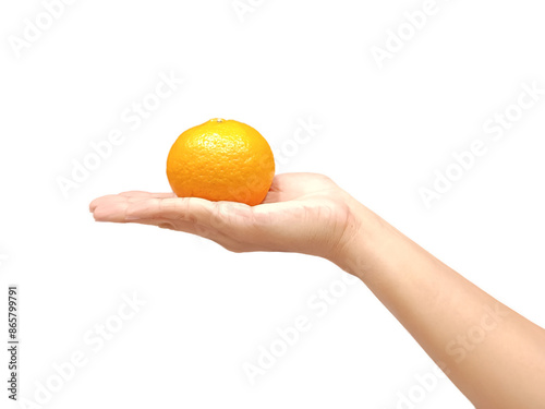 Hand holding orange, big size orange, on white background, mandarin orange, isolated, on white background 