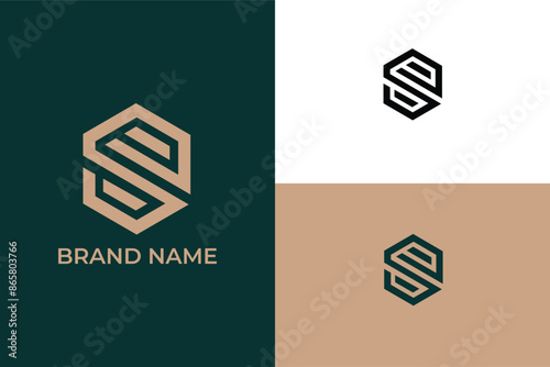 Minimal elegant monogram art logo initial letter SZ ZS S hexagon abstract vector, letter SZ ZS finance columns growth profit count logo, initial S Letter Logo Design Monogram Icon, 