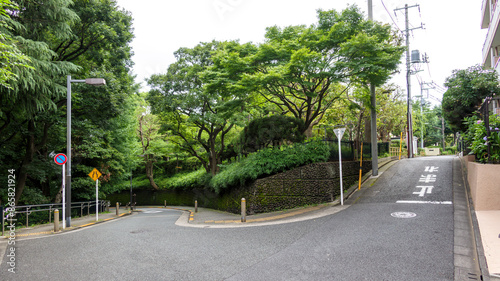Wallpaper Mural 公園とカーブした道路 Torontodigital.ca