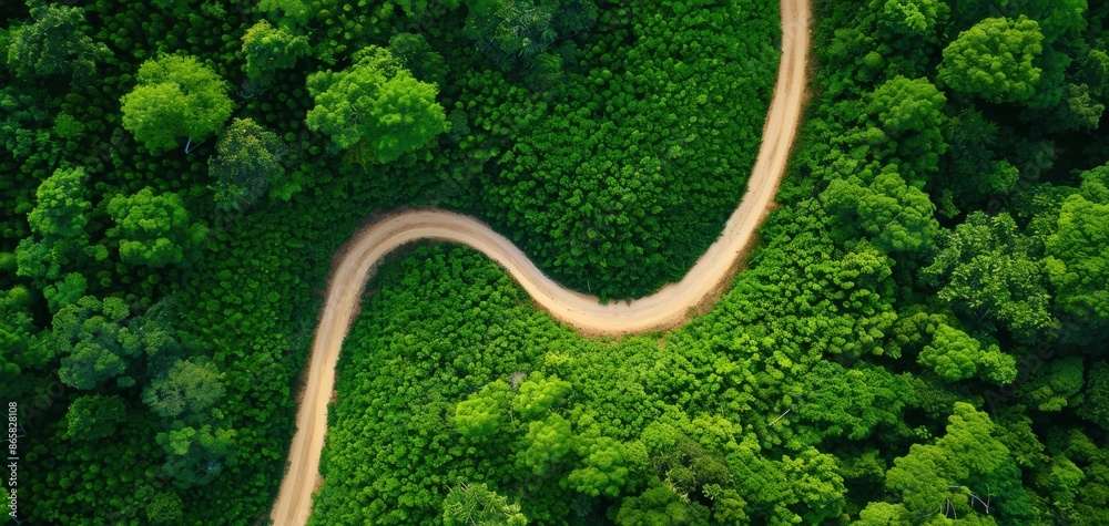 Aerial view of a winding dirt road through lush green forest, showcasing natural beauty and landscape diversity. Aerial view of a winding dirt road through lush green forest, showcasing natural beauty and landscape diversity.