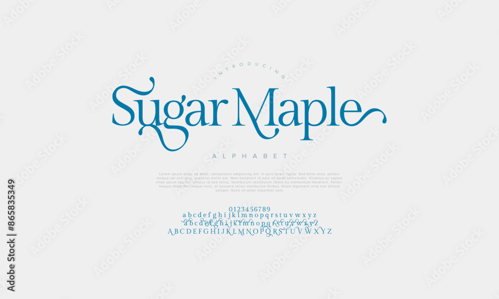 Sugarmaple premium luxury elegant alphabet letters and numbers. Vintage wedding typography classic serif font decorative vintage retro. creative vector illustration Sugarmaple premium luxury elegant alphabet letters and numbers. Vintage wedding typography classic serif font decorative vintage retro. creative vector illustration