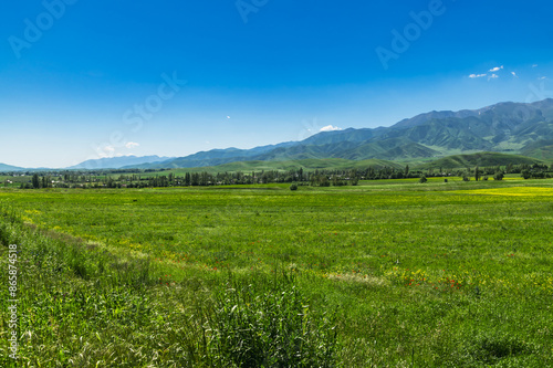 Green fields against the backdrop of green mountains and blue sky.