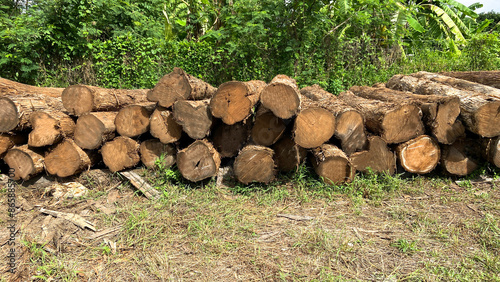 Real photos of logs, logs that haven't been trimmed on the outside. Stack them in an area filled with forest and grass.

