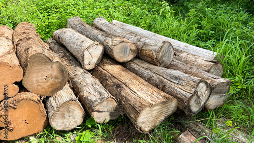 Real photos of logs, logs that haven't been trimmed on the outside. Stack them in an area filled with forest and grass.
