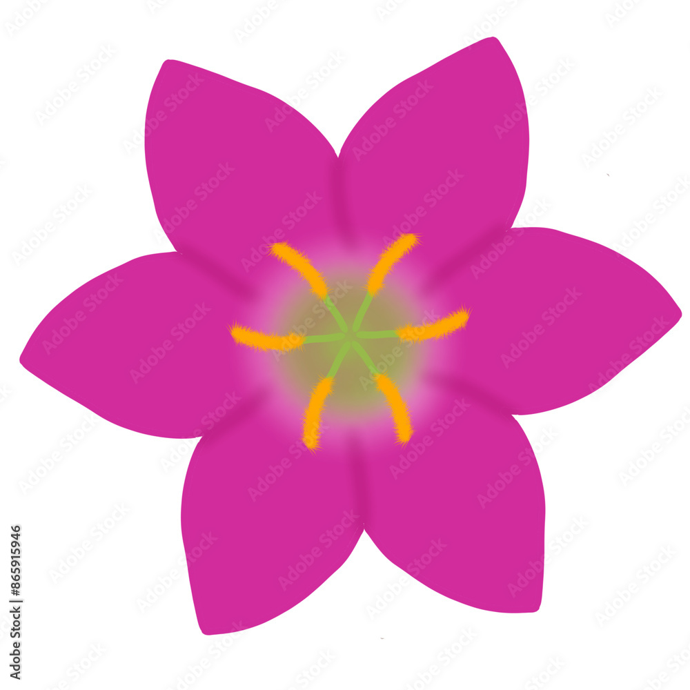 Earthen lotus flower, dark pink Earthen lotus flower, dark pink