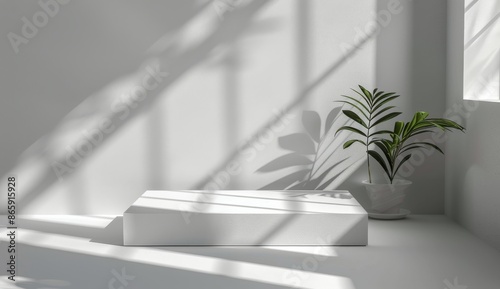 White Marble Platform With Sunlight and Plant in Minimalist Interior