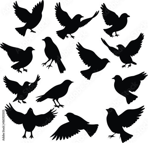 Birds set silhouette illustration with white background