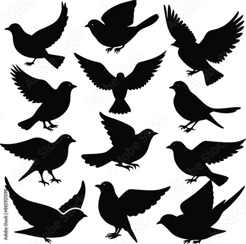 Birds set silhouette illustration with white background