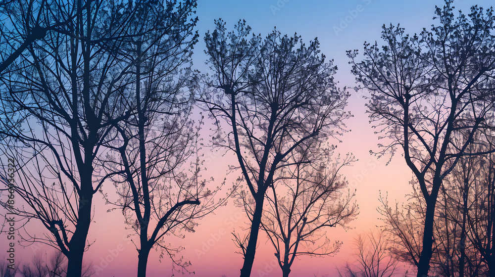 Twilight Silhouettes: Nature's Tree Patterns Against a Serene Evening Sky Twilight Silhouettes: Nature's Tree Patterns Against a Serene Evening Sky