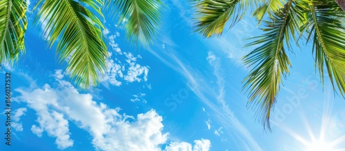 A scenic tropical setting w...
