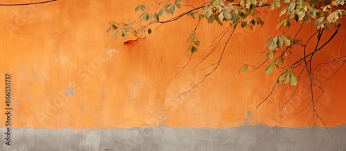 Tree leaves on vine with co...