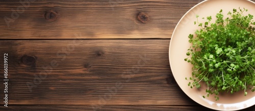 Top view of a white plate w...