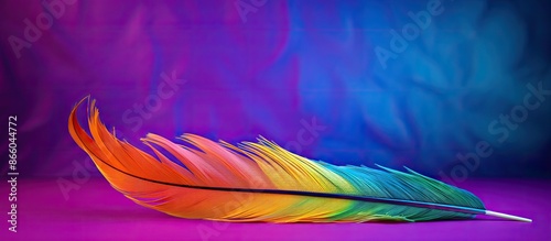 Vibrant feather with a colo...